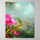 Search for martin johnson heade posters Nature