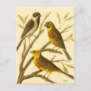 Search for perching postcards Tree