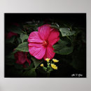 Search for hibiscus art Flower