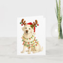 Search for labrador christmas cards Cute