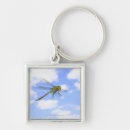 Search for flying insect key rings Wildlife