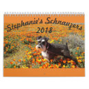 Search for schnauzer calendars Puppy
