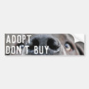Search for danes bumper stickers Great dane
