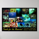 Search for scuba art Underwater