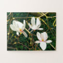 Search for magnolia puzzles Garden