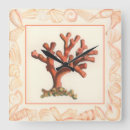 Search for shell clocks Coral