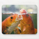 Search for carp electronics Swimming
