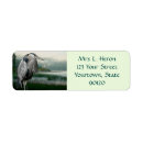 Search for heron return address labels Pond