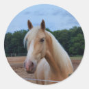 Search for palomino horse stickers Equine