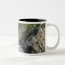 Search for colorado coffee mugs River