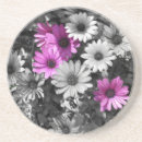 Search for african daisies barware Purple