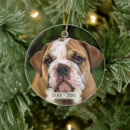 Search for english bulldog christmas tree decorations Pet