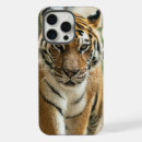 Search for tiger pictures iphone cases Animal