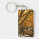 Search for millers key rings Foliage