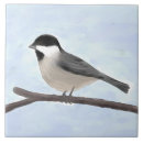 Search for capping tiles Chickadee