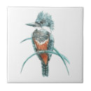 Search for kingfisher bird tiles Wildlife
