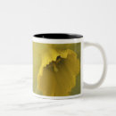 Search for cache mugs Scott t smith