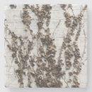 Search for vine coasters Stone