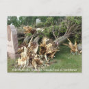 Search for tornados postcards Tornadoes
