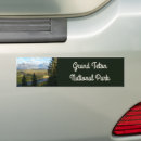 Search for cacti bumper stickers Sunset