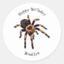 Search for tarantula stickers Insect