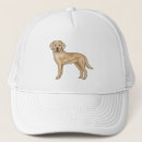 Search for yellow labrador hats Dog