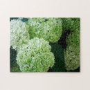 Search for hydrangea puzzles Garden