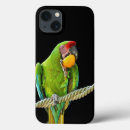 Search for parrots samsung cases Nature