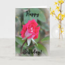 Search for bud cards Petals