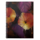 Search for morning glory notebooks Watercolor