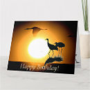Search for crane bird cards Wildlife