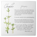 Search for gardener tiles Natural