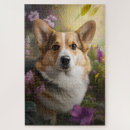 Search for corgis photography Colourful