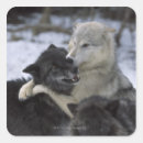 Search for winter wolves stickers Nature