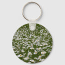 Search for field of daisy key rings Nature