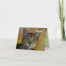 Search for cat basket cards Black