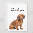 Search for dachshund art cards Dog