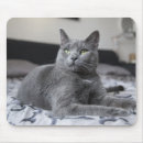 Search for green eyes mousepads Kitten