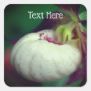 Search for ladys stickers Floral