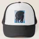 Search for black lab hats Animal