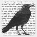 Search for black raven birds stickers Edgar allan poe