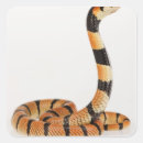 Search for reptile scales stickers Danger