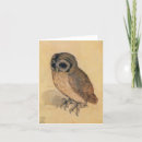 Search for owl thank you cards Bird