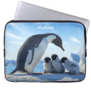 Search for penguin baby electronics Animals