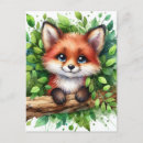 Search for fox watercolor postcards Wildlife