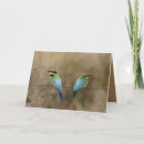 Search for bee birthday cards Colourful