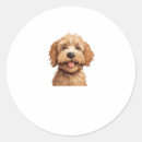Search for funny labradoodle stickers Puppy