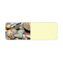 Search for seashells return address labels Florida