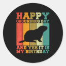 Search for classroom birthday stickers S day classroom activities