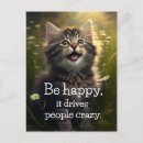 Search for crazy postcards Kittens